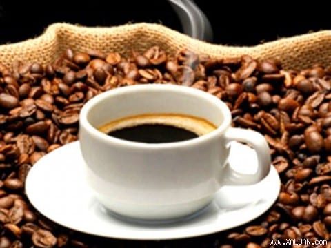 Vài nét về nguồn gốc cà phê