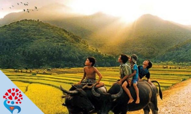 Hạnh phúc từ những điều bình dị