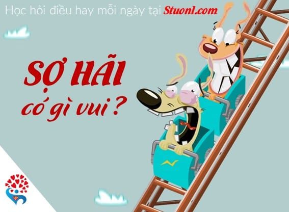 Sợ hãi có gì vui chứ?