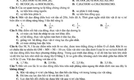 Đề thi thử môn Khoa học Tự Nhiên Lý – Hóa – Sinh